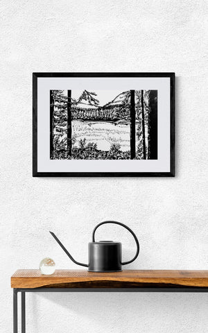 Black and White Ink Drawings