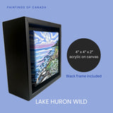 Lake Huron Wild
