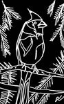 Red Cardinal