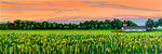 Huron County Barn Vista