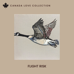 Flight Risk