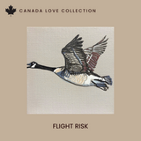 Flight Risk