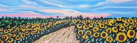 Sunflower Field Vista