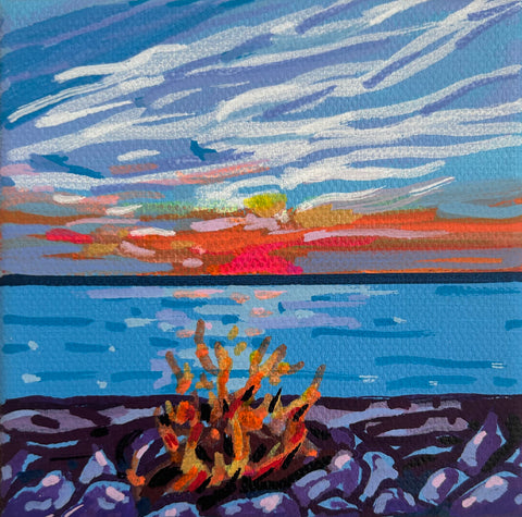 Beach fire