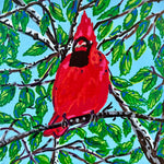 Red Cardinal 2