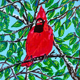 Red Cardinal 2
