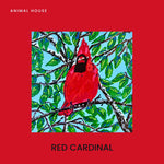 Red Cardinal 2