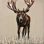 Moody Moose