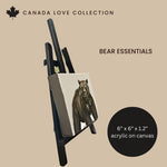 Bear Essentials