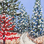 Winter Trails