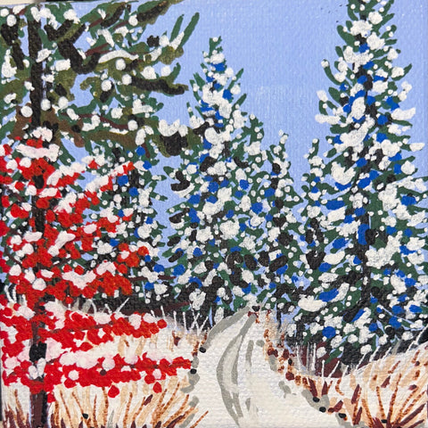 Winter Trails
