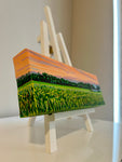 Huron County Barn Vista