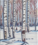 Birch 02