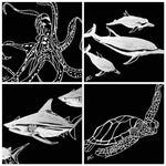 Dolphins