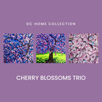 Cherry Blossoms 01