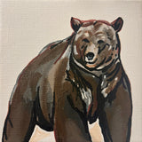 Bear Essentials