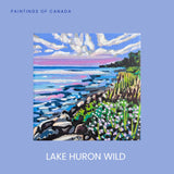 Lake Huron Wild