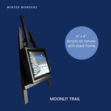 Moonlit Trail