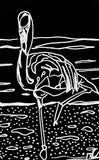 Pink Flamingo