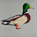 Walks like a Duck