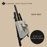 Buck Wild