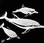 Dolphins