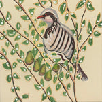A Partridge in a Pear Tree