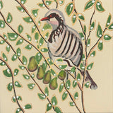 A Partridge in a Pear Tree