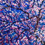 Cherry Blossoms 01