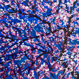 Cherry Blossoms 01
