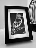 Blue Jay