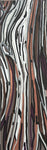 Bark 03