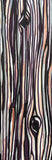 Bark 01
