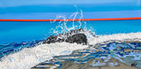 Splash