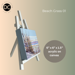 Beach Grass 01