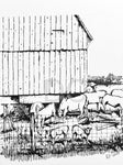 Farmland Original Ink Drawing Artwork Barn Cows