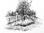 The Lonely Tree