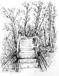 The Stairs