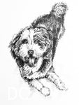 Riley