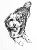 Riley