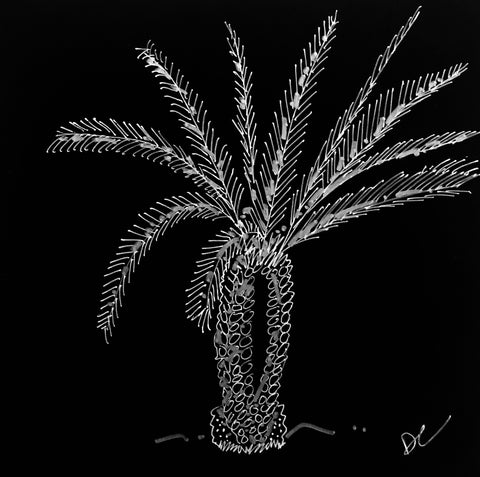 The Palm