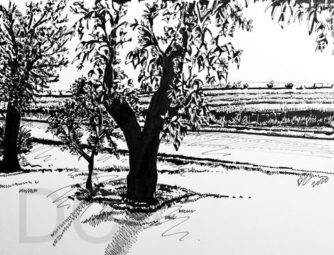 Sunrise Artwork Ink Drawing Farmland Trees