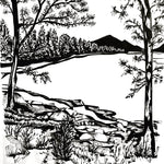 The Hike