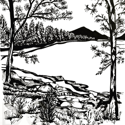 The Hike