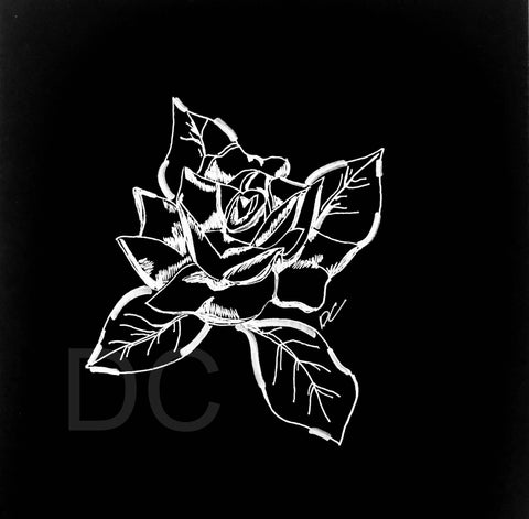 The Modern Rose