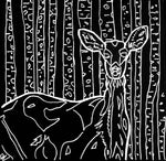 donna colbourn