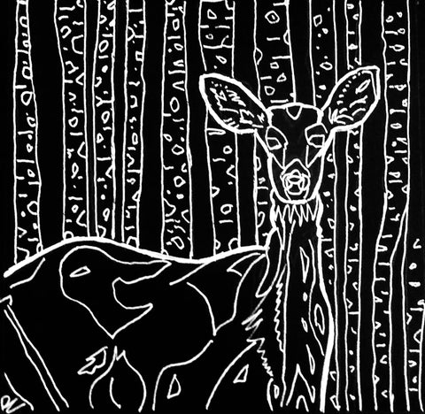 donna colbourn