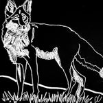 The Red Fox