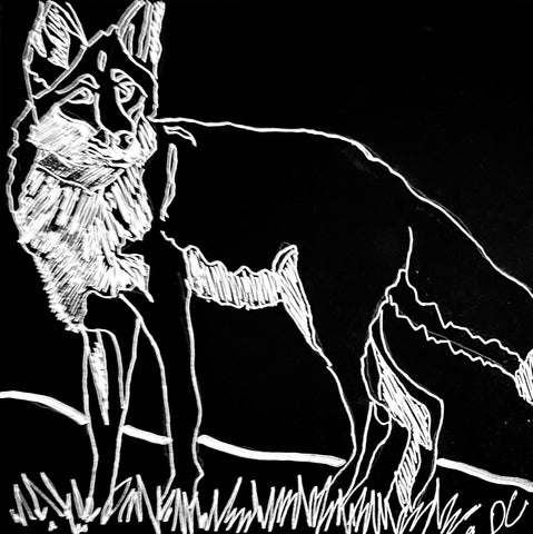 The Red Fox