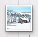 The Winter Shed